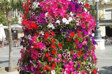 959 cadiz plaza de san juan de dios